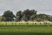 military_plane_crash_68038.jpg
