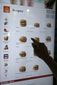 mcdonalds_popularity_18360.jpg