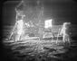 moon_dust_auction_83468.jpg