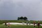 us_womens_open_golf_39117.jpg