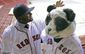 red_sox_sandoval_baseball_09584.jpg
