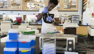 ADVANCE FOR USE SATURDAY, JULY 15 - In this June 7, 2017 photo, University of Nebraska undergraduate student Clement Niyirora uses a micropipette to measure water to be mixed with lactose, as part of an experiment Niyirora is conducting in the Gut Biology Lab, one area of research being conducted at the Food Innovation Center on Innovation Campus in Lincoln. Neb. The center is a $40.3 million collaboration among researchers across NU, food and drug manufacturers and philanthropists interested in the intersection between agriculture and medicine. (Gwyneth Roberts/The Journal-Star via AP)