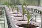 exchange-agriculture_center_92027.jpg