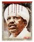 7_162017_b3-wolf-bashir-bloo8201.jpg