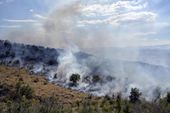 montenegro_balkans_wildfires_95401.jpg