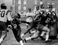 vikings_training_camp_82358.jpg