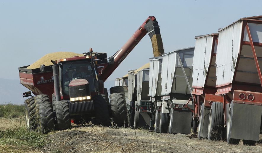 FILE - In this Friday, Oct. 10, 2014, file photo rice is loaded into trucks after being harvested near Davis, Calif. California Gov. Jerry Brown and legislative leaders managed to extend California's cap-and-trade law thanks in part to tax breaks that benefit businesses and agriculture. The provision helped bring support from Republicans and moderate Democrats. (AP Photo/Rich Pedroncelli, File)