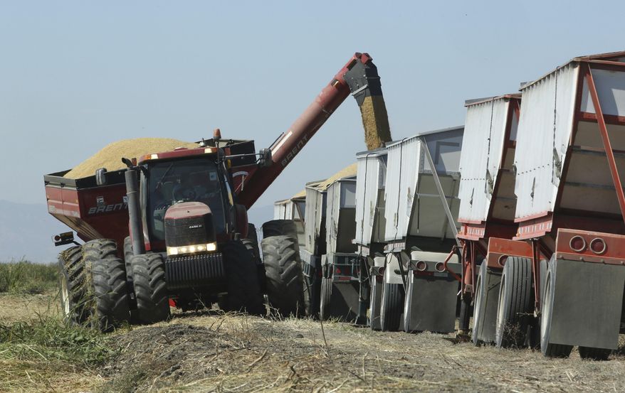 FILE - In this Friday, Oct. 10, 2014, file photo rice is loaded into trucks after being harvested near Davis, Calif. California Gov. Jerry Brown and legislative leaders managed to extend California's cap-and-trade law thanks in part to tax breaks that benefit businesses and agriculture. The provision helped bring support from Republicans and moderate Democrats. (AP Photo/Rich Pedroncelli, File)