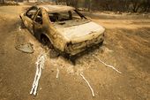 western_wildfires_67092.jpg