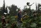 mexico_floating_farm_to_table_00745.jpg