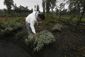 mexico_floating_farm_to_table_09196.jpg