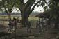 myanmar_report_from_buthidaung_49179.jpg