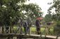 myanmar_report_from_buthidaung_77073.jpg