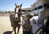 bc-nv--animal_rescue_group_03171.jpg