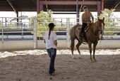 bc-nv--animal_rescue_group_14872.jpg