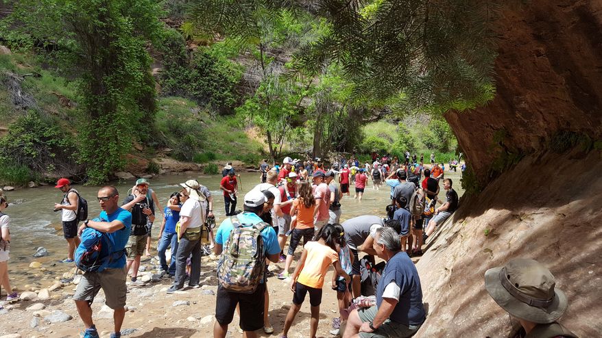 In this May 28, 2016 photo provided by Zion National Park, people gather at the entrance to the Narrow in Zion National Park, Utah. The sweeping red-rock vistas at Zion National Park are increasingly filled with a bumper crop of visitors, and now park managers are weighing an unusual step to stem the tide: : Requiring tourists to make RSVPs to get in. (Zion National Park via AP)
