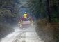 forest_fire-new_jersey_12504.jpg
