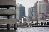 seaplane_hard_landing_73679.jpg
