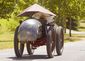 recumbent_quad_rider_50108.jpg
