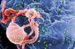 aids_cure_research_22110.jpg