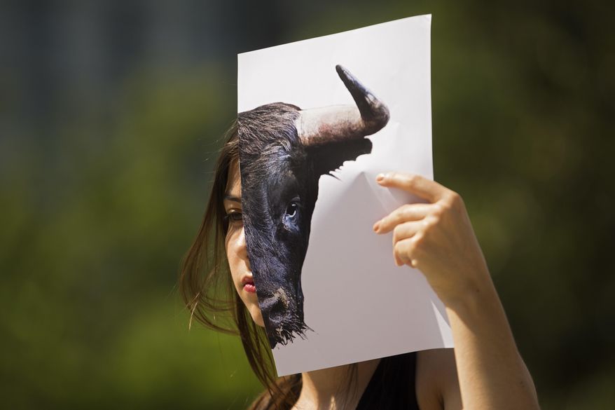 In this photo taken on Wednesday, June 21, 2017, a woman holds up a picture of a bull during a protest against bullfighting in Madrid. Lawmakers in Spain's Balearic Islands have banned spectators under age eighteen, alcohol and the killing or harming of animals at regional bullfights. (AP Photo/Francisco Seco)