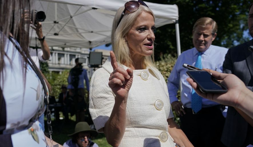 Counselor to the President Kellyanne Conway speaks to members of the media after doing a interview at the White House in Washington, Tuesday, July 25, 2017. The White House is hosting a Regional Media Day with live radio and TV broadcasts from the White House Driveway with interviews with White House senior staff, Cabinet members and agency staffers. (AP Photo/Pablo Martinez Monsivais)