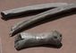 backyard__bones_04698.jpg