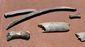 backyard__bones_34957.jpg