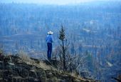 montana_wildfires_77836.jpg