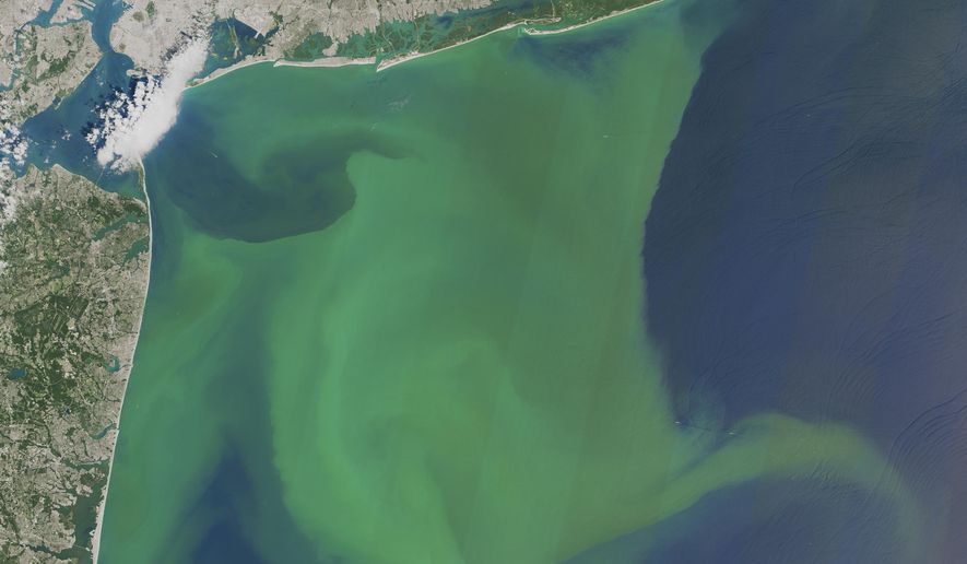In this image provided by NASA, taken Aug. 3, 2015, phytoplankton is seen off the coast of New York, top and New Jersey, left. A new study projects that global warming’s increased rains will mean more nitrogen flowing into U.S. waterways, which can then trigger more massive blooms of algae, floating green mats, and dead zones with almost no oxygen. This handout NASA satellite photo shows a large bloom of phytoplankton off the New York and New Jersey coast in August 2015. (NASA via AP)