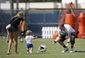 dolphins_football_66623.jpg