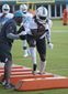 dolphins_football_94772.jpg