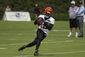 bengals_football_93120.jpg