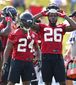 falcons_football_58780.jpg