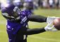 vikings_football_14073.jpg