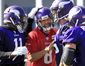 vikings_football_22083.jpg