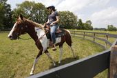 exchange_horse_trainer_11507.jpg