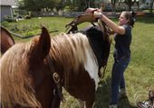 exchange_horse_trainer_21869.jpg