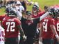 falcons_football_86223.jpg