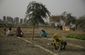 india_farmer_suicides_34936.jpg