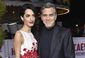 people-george_clooney_19802.jpg