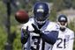 seahawks_football_87435.jpg