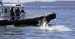 seattle_plane_crash_02180.jpg
