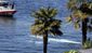 seattle_plane_crash_31650.jpg