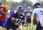 vikings_football_89079.jpg