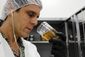 puerto_rico_medical_marijuana_32607.jpg