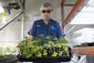 puerto_rico_medical_marijuana_88622.jpg
