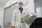 puerto_rico_medical_marijuana_98087.jpg