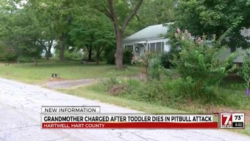 A Hartwell, Georgia, grandmother is charged with second-degree murder after her two pit bulls killed her 21-month-old grandson while she was babysitting. (WSPA)