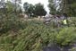 southern_california_rain_59339.jpg
